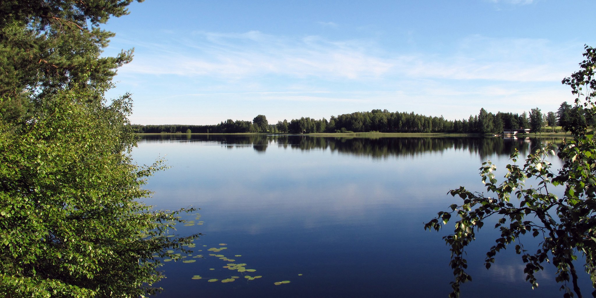 Kirrinen, kuva Anne Soittila